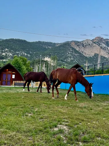Clean Bungalov Galeri
